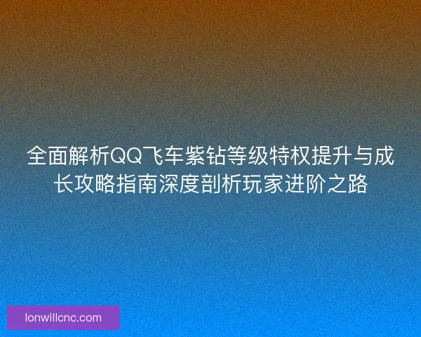 全面解析QQ飞车紫钻等级特权提升与成长攻略指南深度剖析玩家进阶之路